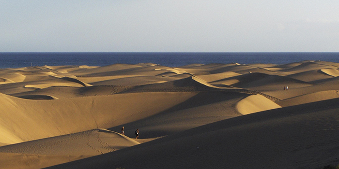 El Oasis, Maspalomas (Gran Canaria)