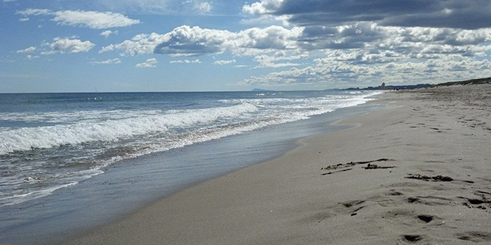 Playas del Saler - El Saler (Valencia) 