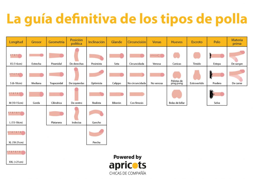 La guía definitiva de los tipos de polla